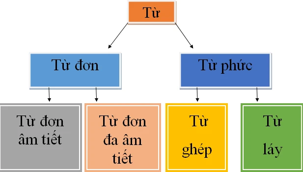 Cách phân biệt từ láy - từ ghép không phải ai cũng biết