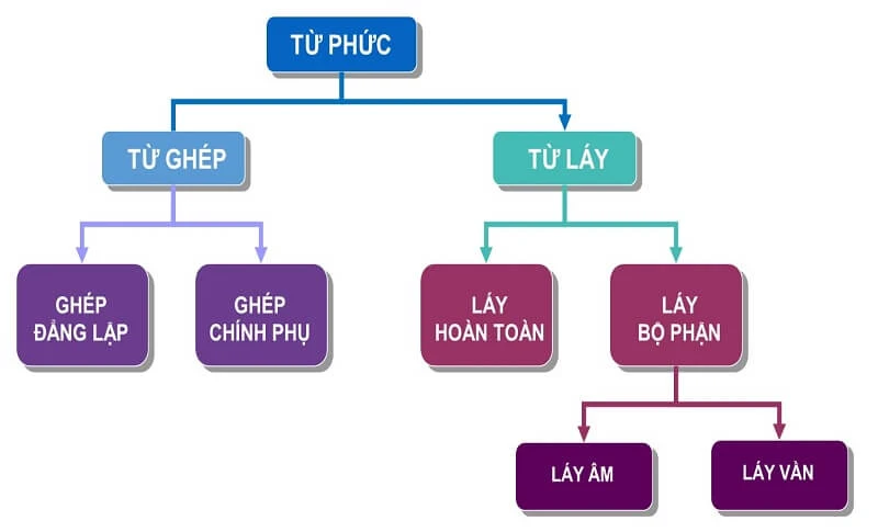 Từ phức là gì? Đặc điểm, phân loại & cách sử dụng từ phức trong tiếng Việt đúng chuẩn