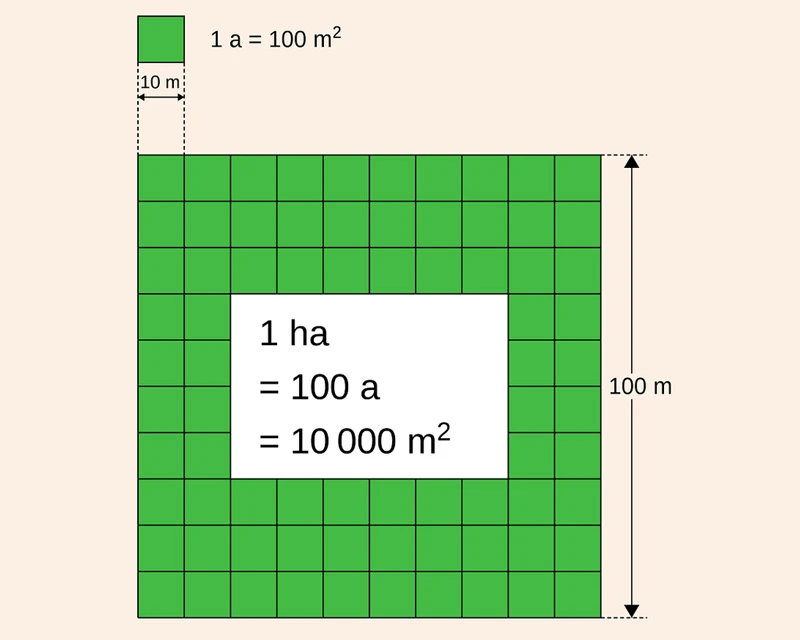 1ha bằng bao nhiêu m2, bao nhiêu km2, bao nhiêu sào, mẫu?