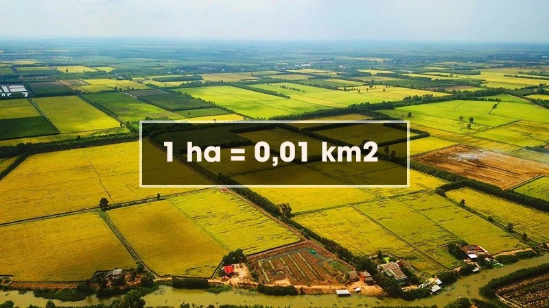 1ha bằng bao nhiêu m2, bao nhiêu km2, bao nhiêu sào, mẫu?