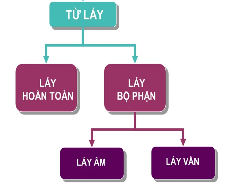 Từ phức là gì? Đặc điểm, phân loại & cách sử dụng từ phức trong tiếng Việt đúng chuẩn