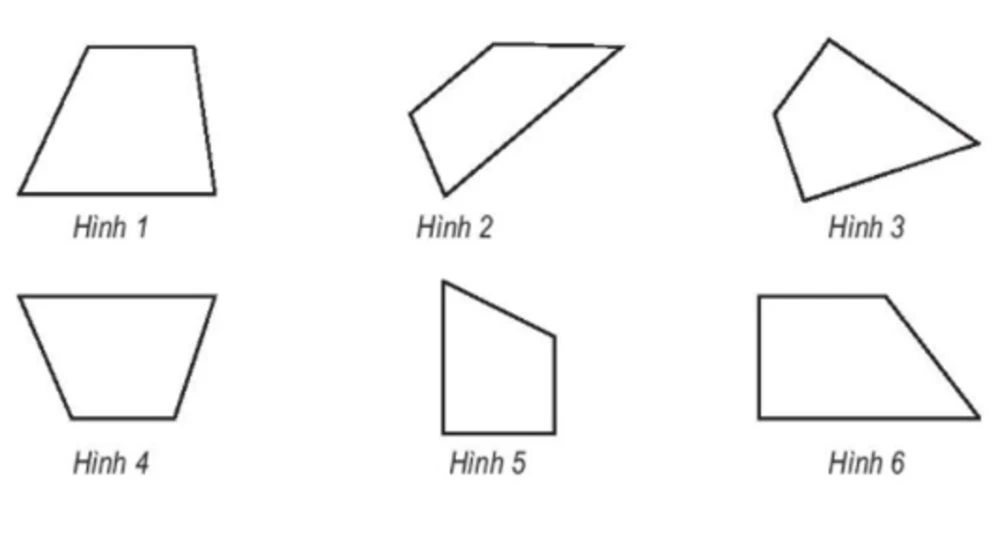 Tổng hợp đầy đủ các kiến thức cơ bản nhất về hình tứ giác