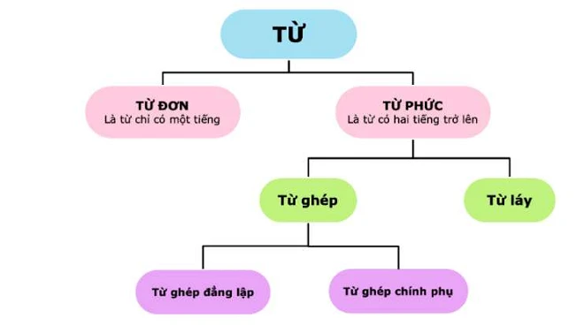 Từ đơn là gì, cách phân biệt từ đơn với từ láy, từ phức