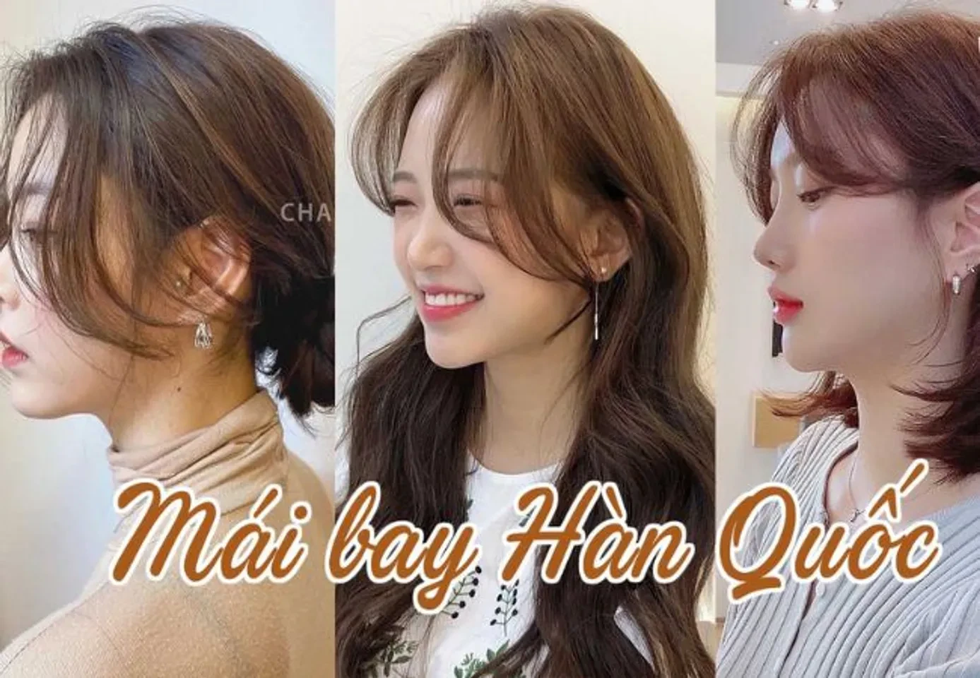 Tóc Mái Bay Ngắn: Xu Hướng Thời Trang Đang Nổi Bật