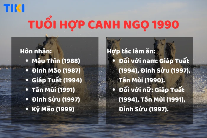 Tuổi Canh Ngọ 1990 mệnh như thế nào? Hợp với tuổi nào? Cùng xem màu sắc nào phù hợp!