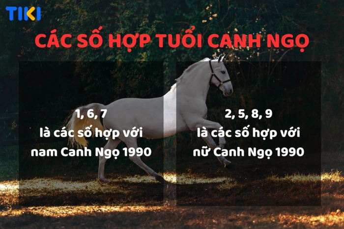 Tuổi Canh Ngọ 1990 mệnh như thế nào? Hợp với tuổi nào? Cùng xem màu sắc nào phù hợp!