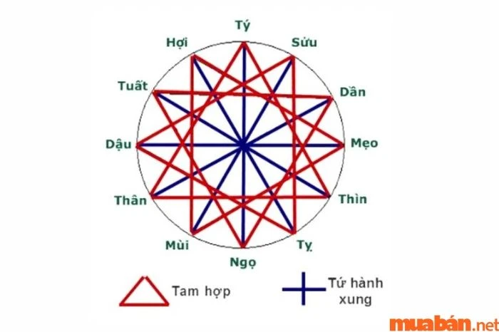 Tử Vi Giáp Tuất 1994 Năm 2024 Nam Mạng: Gặp Phạm Thái Tuế