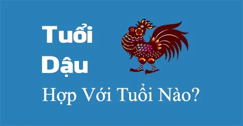 Trong số 12 con giáp, tuổi Dậu đại diện cho sự nhiệt tình và niềm kiêu hãnh. Vậy nên những người tuổi này luôn tràn đầy năng lượng, được mọi người yêu quý bởi tinh thần trách nhiệm và sự ngay thẳng. Vậy tuổi Dậu sinh năm bao nhiêu? Trong bài viết này, Công Ty Nệm sẽ giúp bạn đọc tìm hiểu về tử vi tuổi Dậu trọn đời. Nếu đang tìm hiểu thông tin này thì đừng bỏ qua bạn nhé.