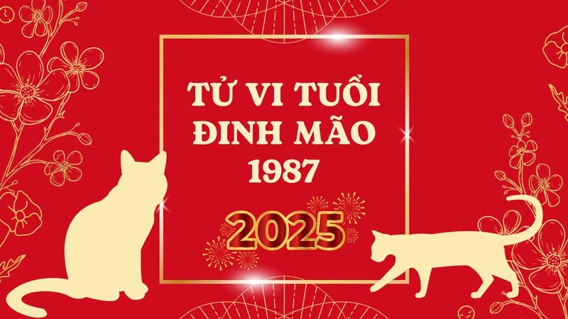 Tử vi tuổi Mẹo 2025: Vượt qua Tam Tai, công danh khởi sắc