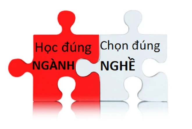 Toán Lý Văn là khối gì? Gồm những ngành nào? Thi trường gì? Làm nghề gì?