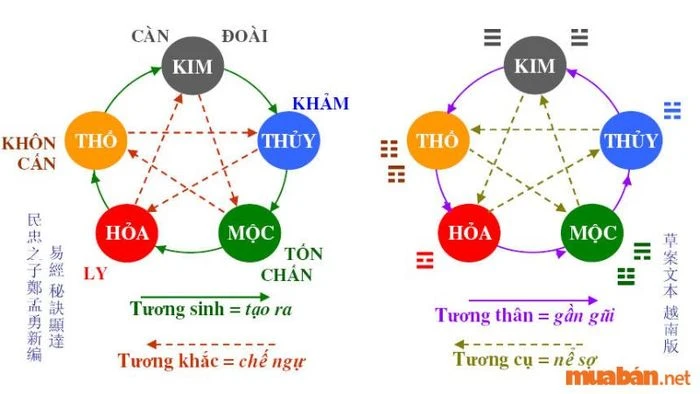 Tử vi Ất Sửu 1985 Nữ Mạng năm 2024 - Sao Thái Âm chiếu mệnh, mang đến nhiều cơ hội và thử thách