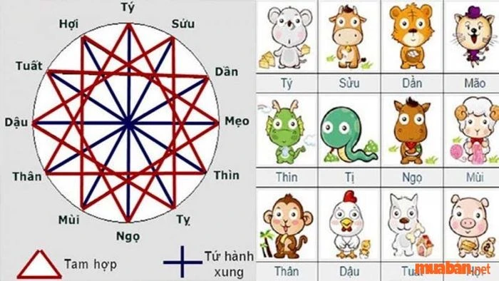 Tử vi năm 2024 của nam Ất Hợi 1995: Chú ý đến tài chính