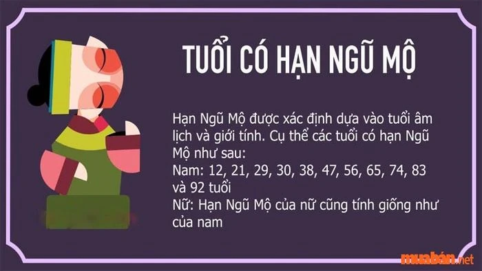 Tử vi năm 2024 của nam Ất Hợi 1995: Chú ý đến tài chính