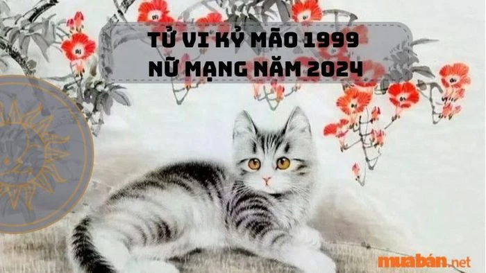 Tử Vi Kỷ Mão 1999 Nữ Mạng Năm 2024: Gặp Vận Hạn Kim Lâu