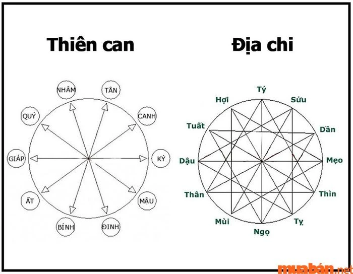 Tử vi nữ Canh Ngọ 1990 năm 2024: Vận hạn Kim Lâu