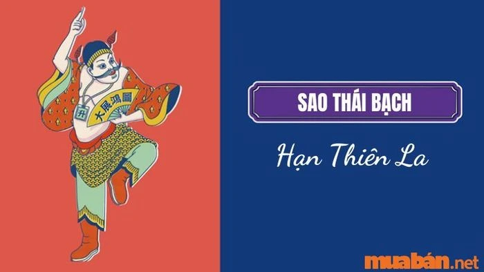 Tử vi nữ Canh Ngọ 1990 năm 2024: Vận hạn Kim Lâu