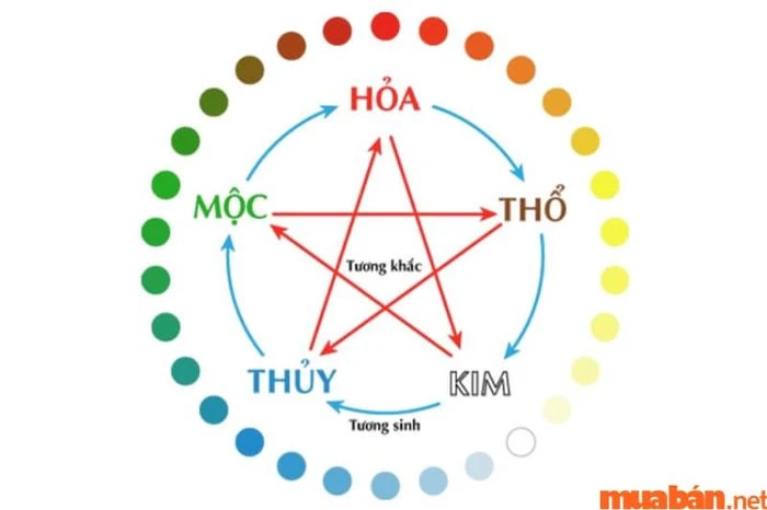 Dự đoán chi tiết tử vi nữ mạng Quý Hợi 1983 trong năm 2024