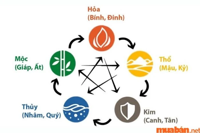 Dự đoán chi tiết tử vi nữ mạng Quý Hợi 1983 trong năm 2024