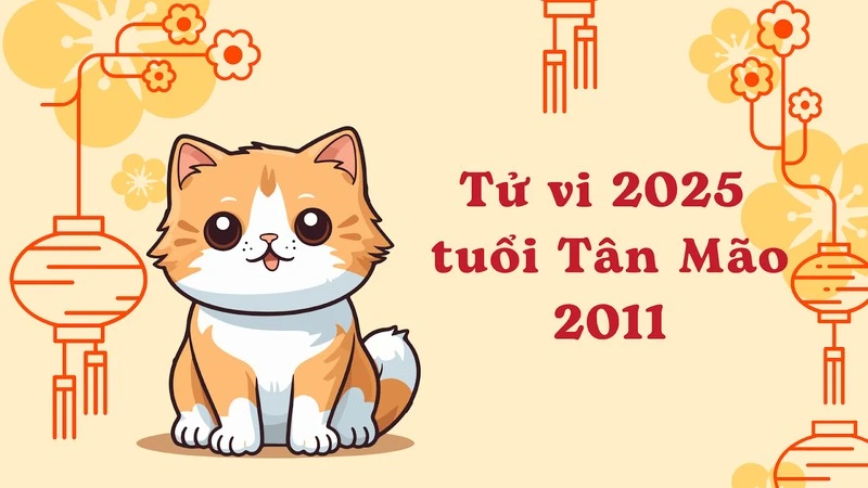 Tử vi tuổi Mẹo 2025: Vượt qua Tam Tai, công danh khởi sắc