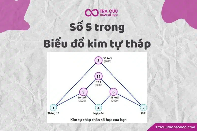 Thần số học số 5 là gì? Đặc điểm và ý nghĩa số 5 trong các chỉ số