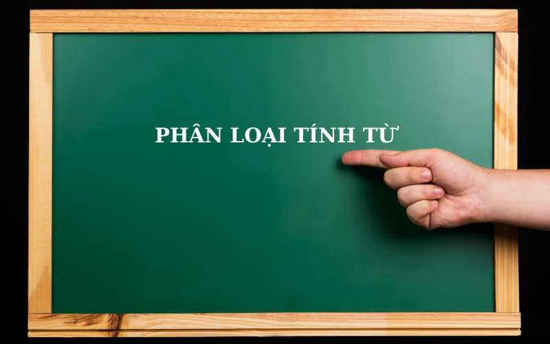 Tính từ là gì? Vị trí, chức năng, phân loại và hướng dẫn cách sử dụng khi học tiếng Việt