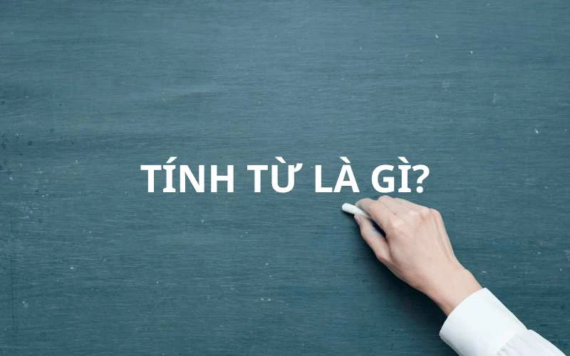 Tính từ là gì? Vị trí, chức năng, phân loại và hướng dẫn cách sử dụng khi học tiếng Việt