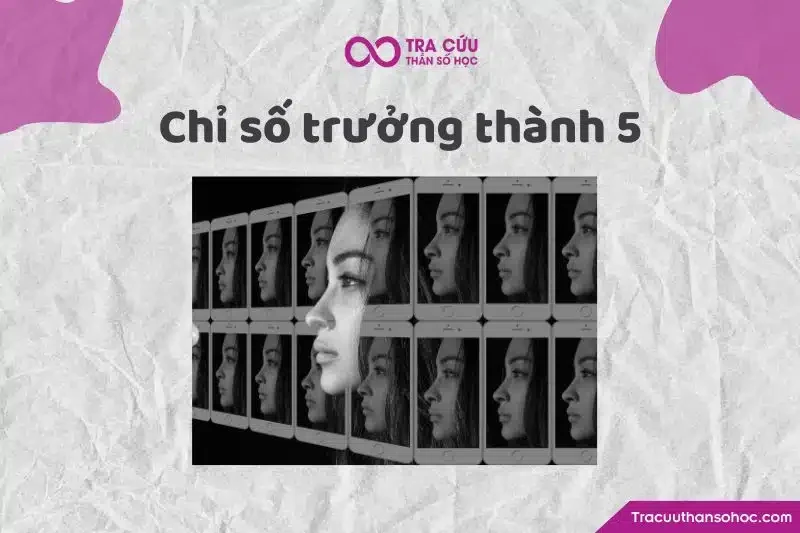 Thần số học số 5 là gì? Đặc điểm và ý nghĩa số 5 trong các chỉ số