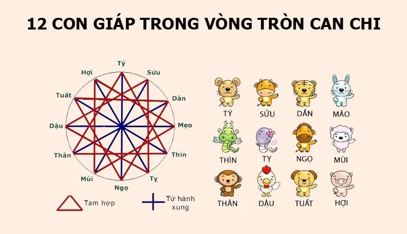 Tam hợp là gì? Hiểu đúng về Tam hợp và Tứ hành xung trong phong thủy