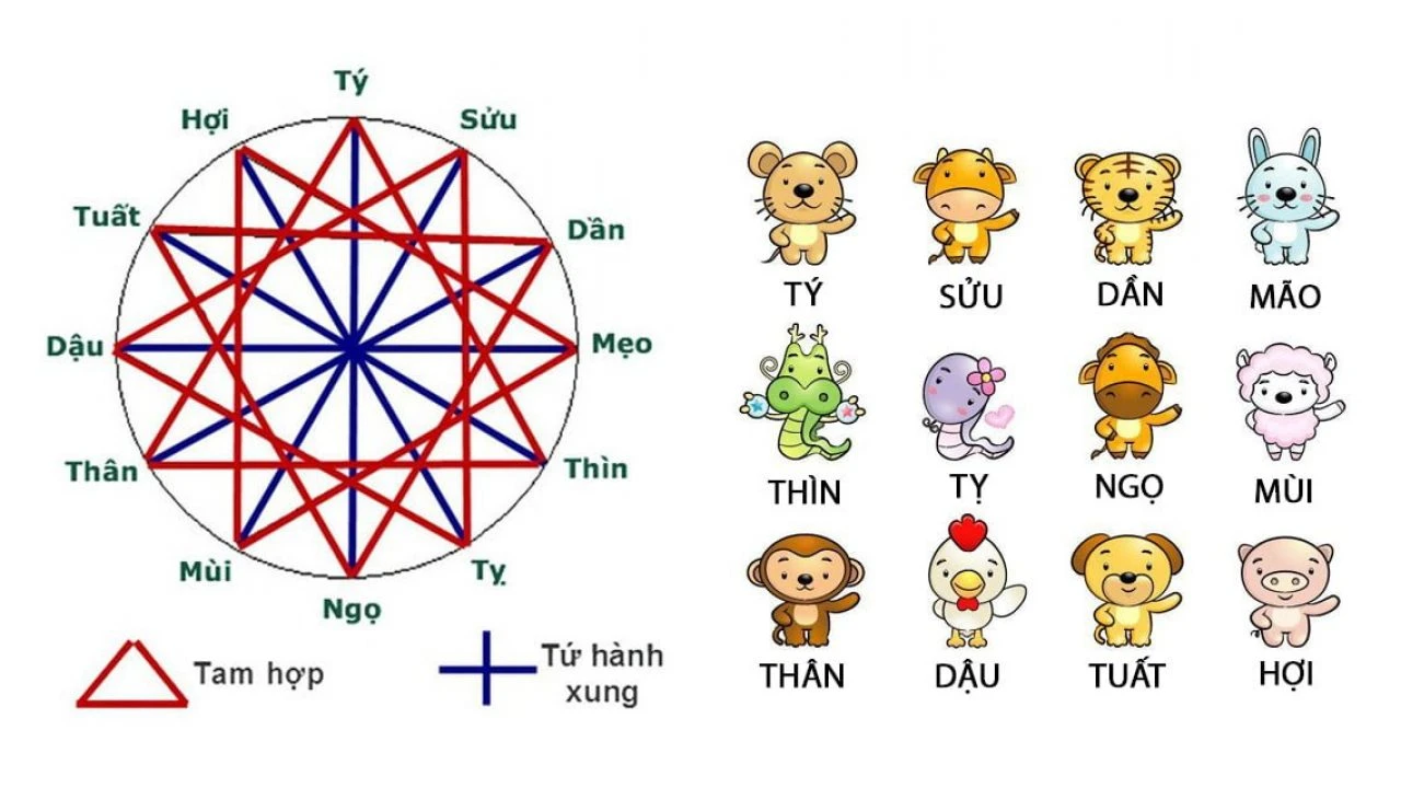 Tam hợp là gì? Tìm hiểu tứ hành xung & tam hợp