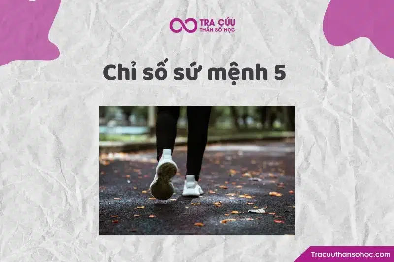 Thần số học số 5 là gì? Đặc điểm và ý nghĩa số 5 trong các chỉ số