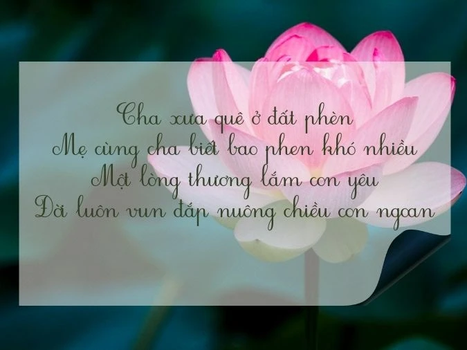 Top những bài thơ về hoa sen làm bạn càng thêm yêu thiên nhiên, đất nư - Ecolotus