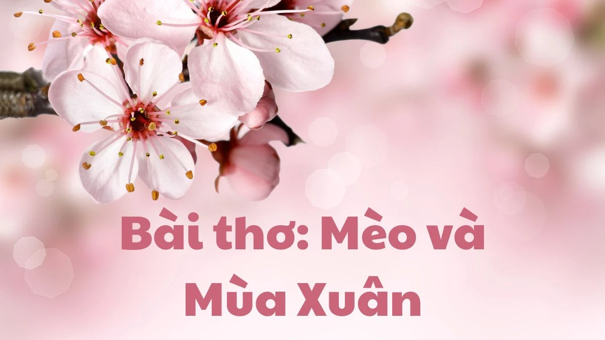 20+ bài thơ mùa xuân nổi tiếng, hay nhất mọi thời đại