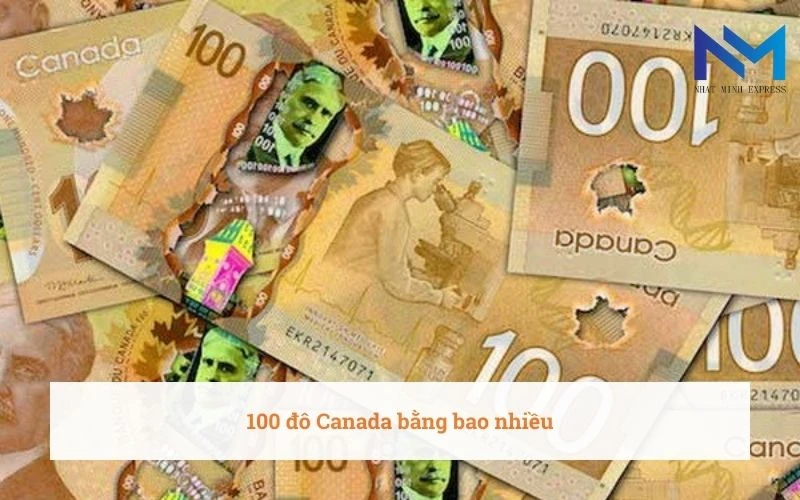 100 đô Canada bằng bao nhiêu tiền Việt 8/11/2023