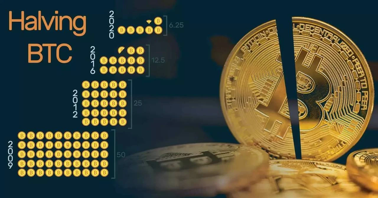 Halving bitcoin là gì và tác động đến thị trường tiền mã hóa