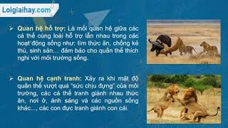 Ví dụ về mối quan hệ cạnh tranh trong sinh thái học