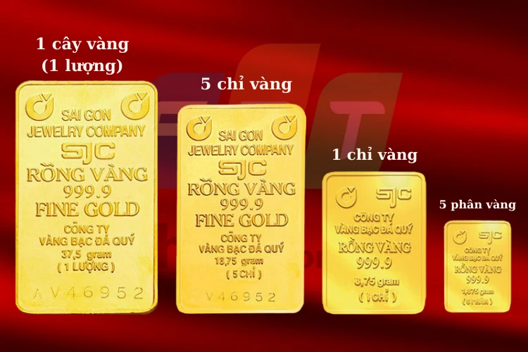 Cây vàng bao nhiêu tiền và giá trị của nó hiện nay
