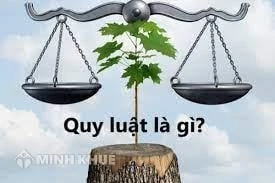 Quy luật là gì và tầm quan trọng trong cuộc sống