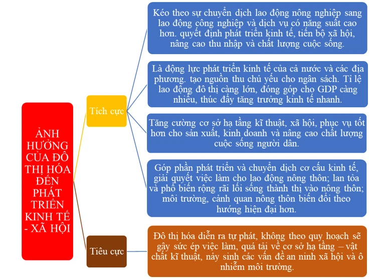 Đô thị hóa và phát triển kinh tế xã hội Việt Nam: Nhận định sai