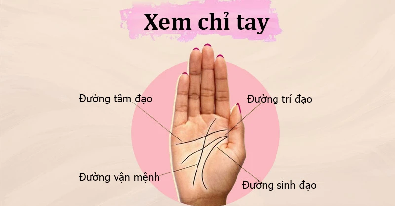Khám Phá Đường Chỉ Tay Nữ và Ý Nghĩa Tâm Linh