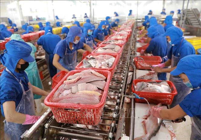 Sản phẩm chế biến thủy hải sản Việt Nam và tiềm năng xuất khẩu
