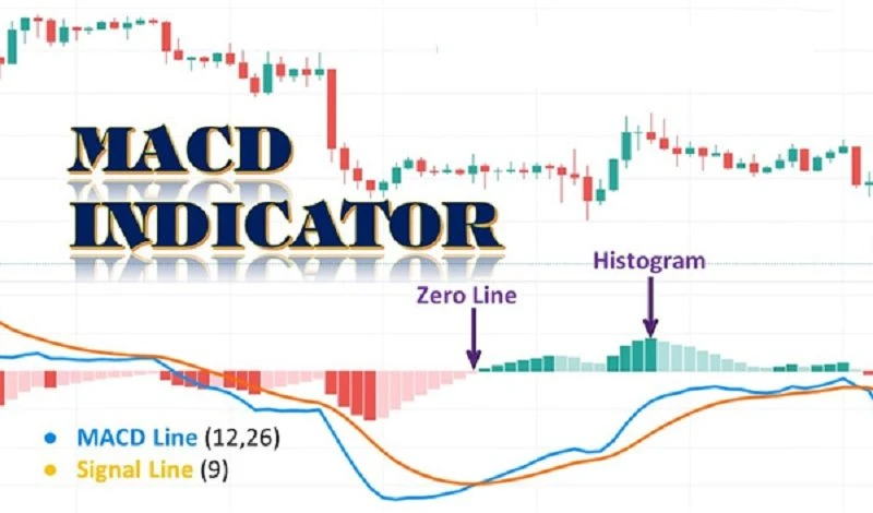 MACD là gì và tầm quan trọng trong đầu tư tài chính