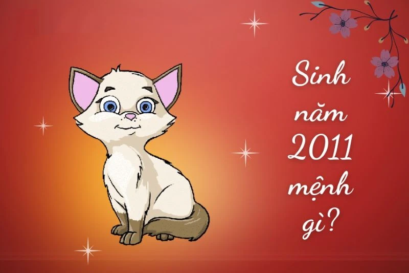 Năm 2011 là năm con gì và đặc điểm của những người sinh ra