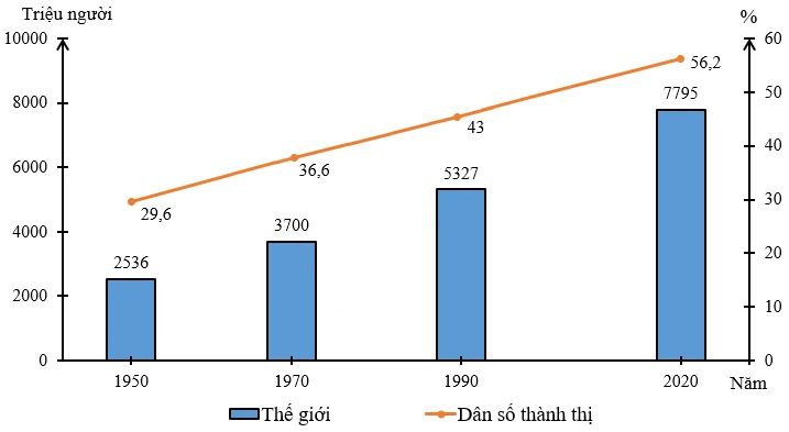 Tỉ lệ dân thành thị tăng nhanh và nguyên nhân quan trọng