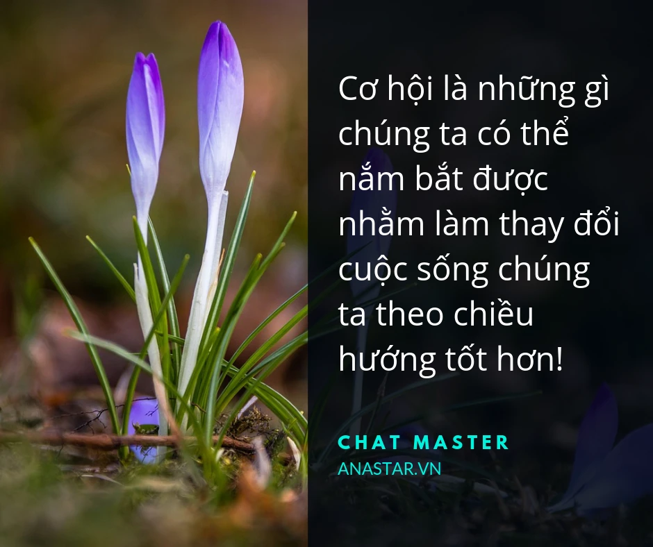 Cơ hội là gì và cách nhận diện thời điểm vàng