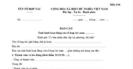 Báo cáo là gì và vai trò trong quản lý thông tin